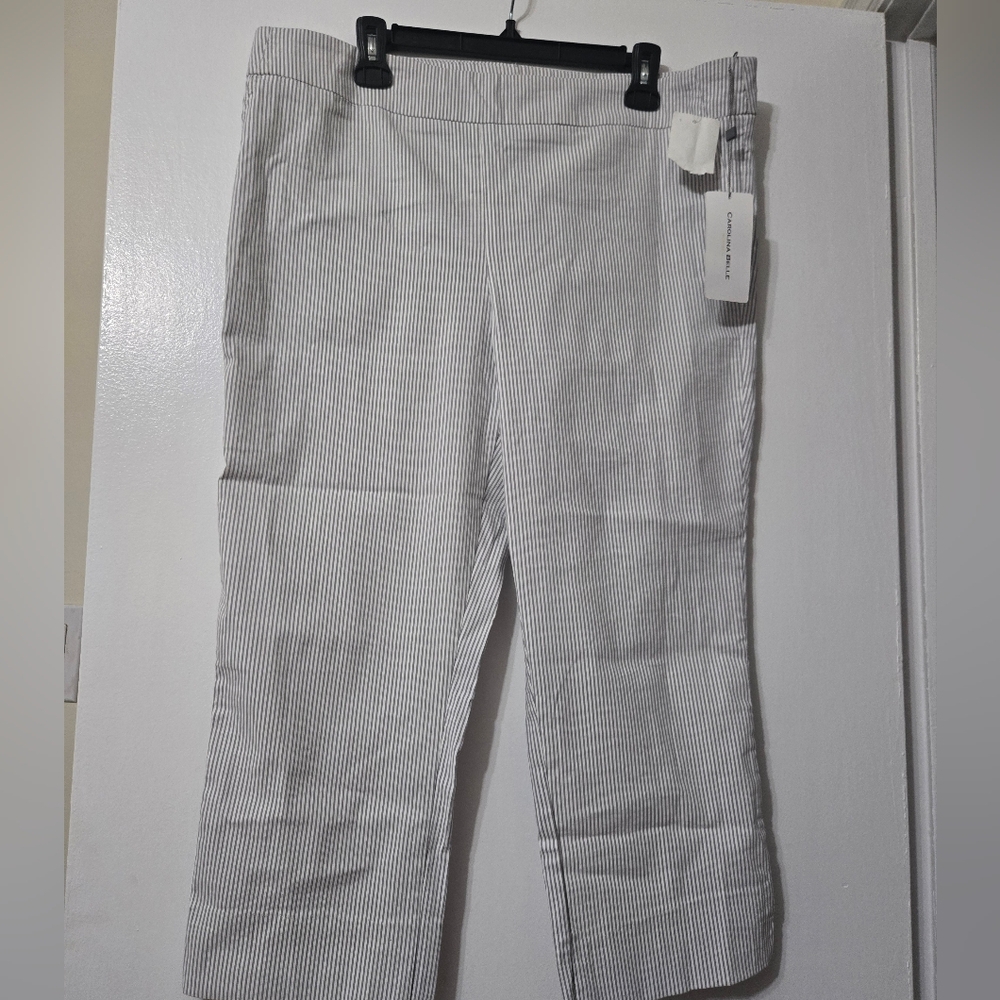 Pinstripe Cropped Pants